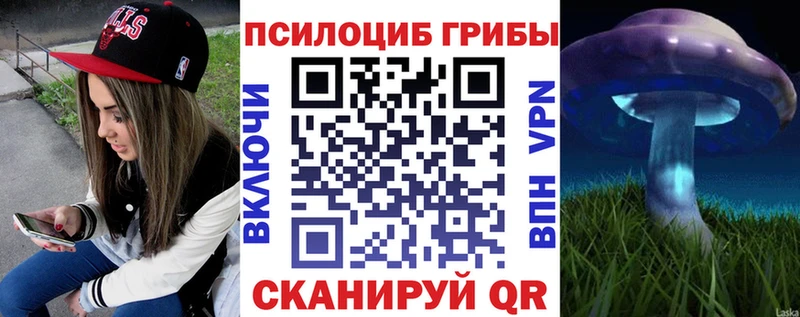 Галлюциногенные грибы Cubensis  Кингисепп 